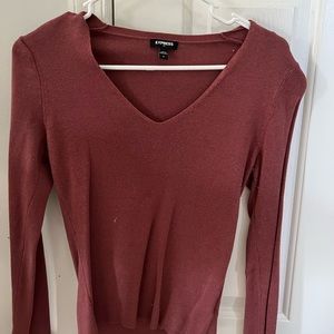 Express light weight sweater